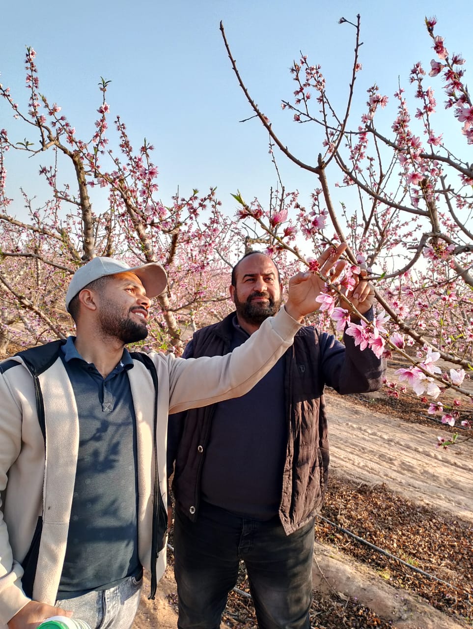 زيارة ميدانية لأحد مزارع عملائنا