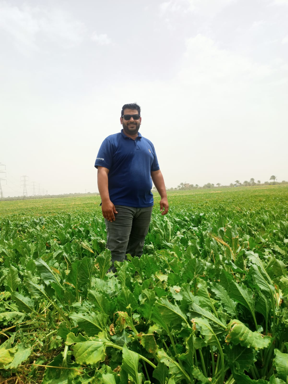 محمد الغرباوي